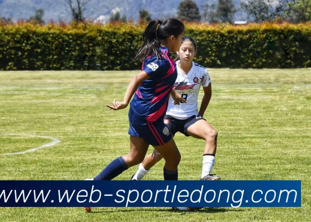 乐动体育品牌故事