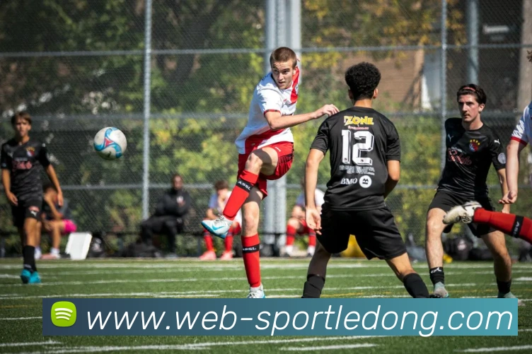 乐动体育服务体系